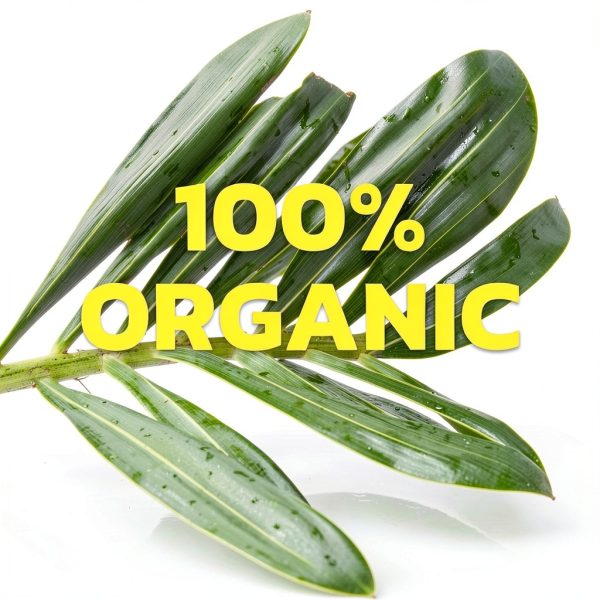 Native Forest Organic Mango Chunks Canned Fruit Healthy Diet-3
