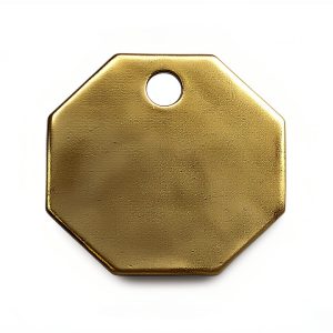 Tag-1-1/4" Octagon Brass Labels 25pk by CH Hanson- Multi-Color Blend-0